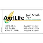 Appointment Business Card