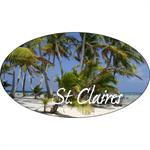7&quotx 4&quotDigital Oval Decal