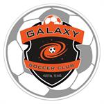 Soccer Ball Shaped Sports Magnet