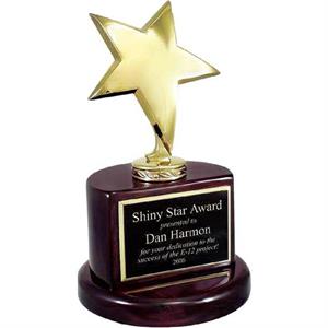 Gold Star Trophy on Rosewood Piano Finish Base