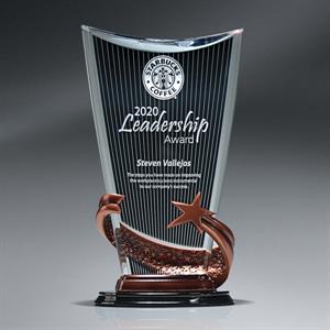 Bronze Brilliance Star Arch Award With Ebony Background