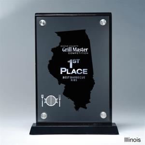 State Award - Illinois