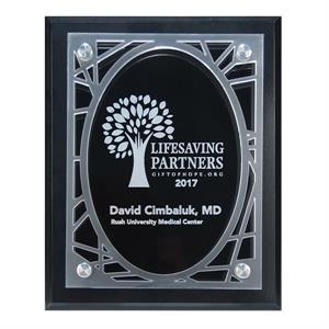 Frosted Acrylic Decorative Edge Cutout on Black Plaque