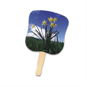 Stock Design Hand Fan-Daffodils