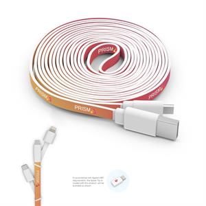 10 Foot Branded Triple Tip Cable