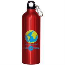 Aluminum 28 Oz Sports Bottle