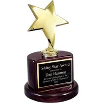 Gold Star Trophy on Rosewood Piano Finish Base